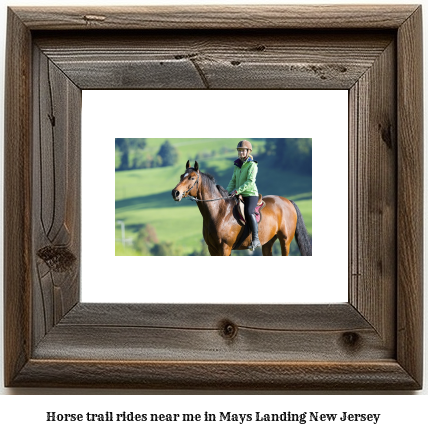 horse trail rides near me in Mays Landing, New Jersey